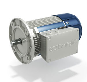 ASYNCHRONOUS IE3 THREE PHASE MOTORS – BX SERIES